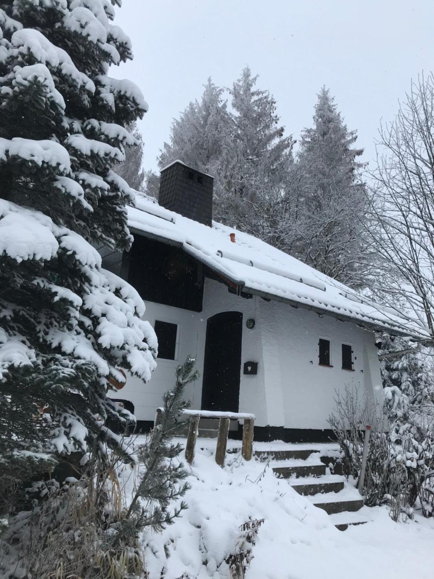 Harzchen Villa Sankt Andreasberg Dış mekan fotoğraf