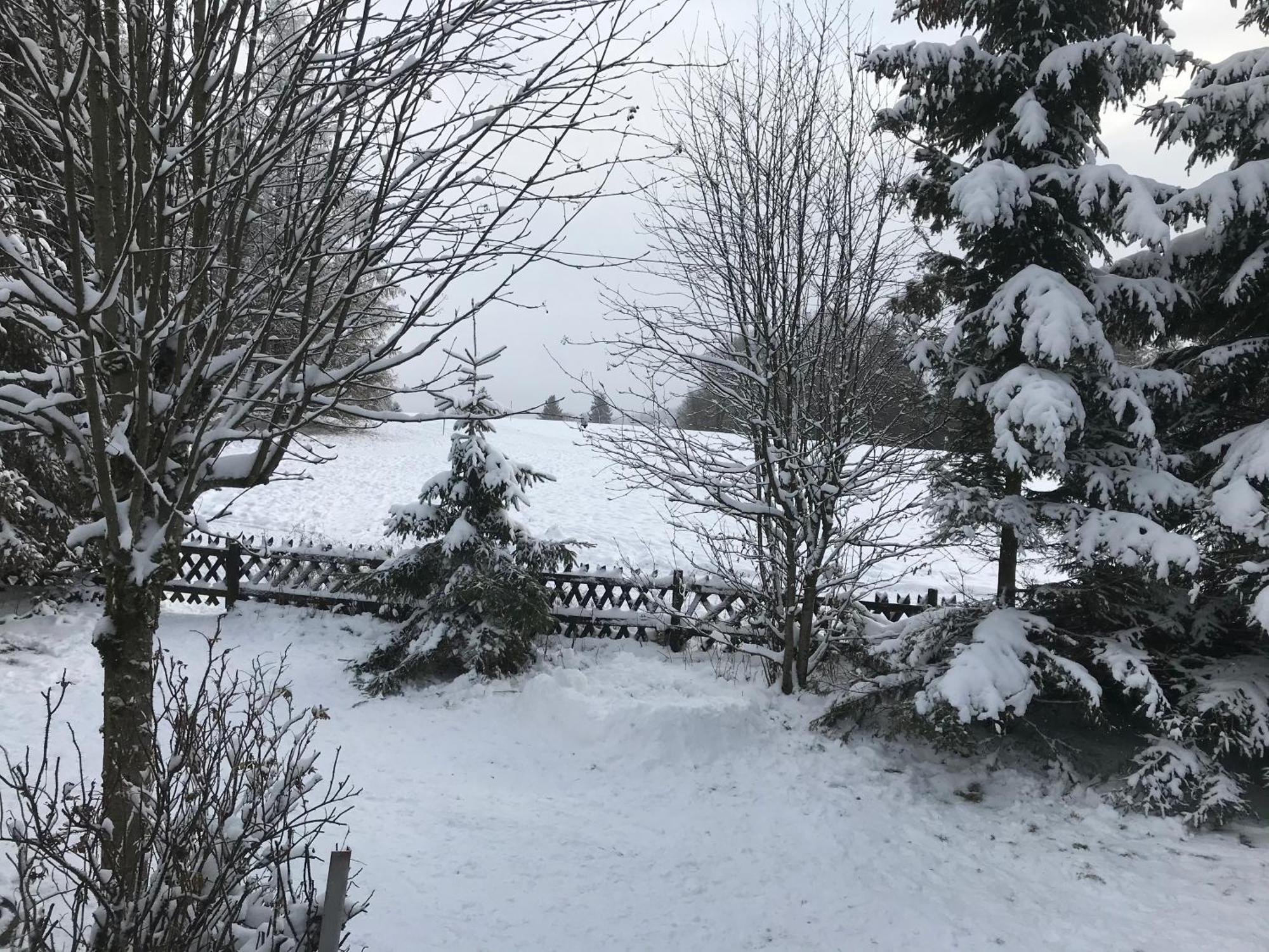 Harzchen Villa Sankt Andreasberg Dış mekan fotoğraf