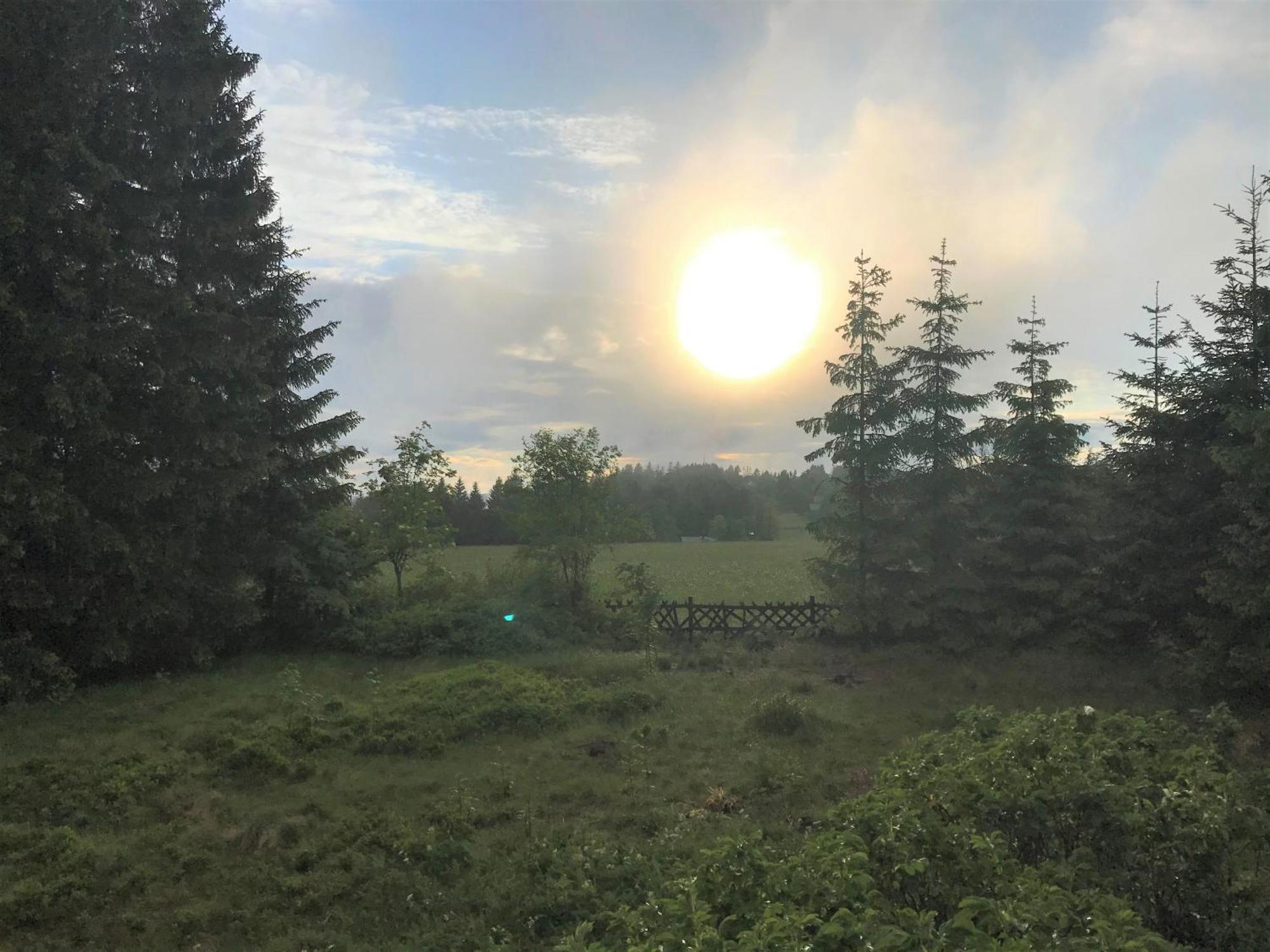 Harzchen Villa Sankt Andreasberg Dış mekan fotoğraf