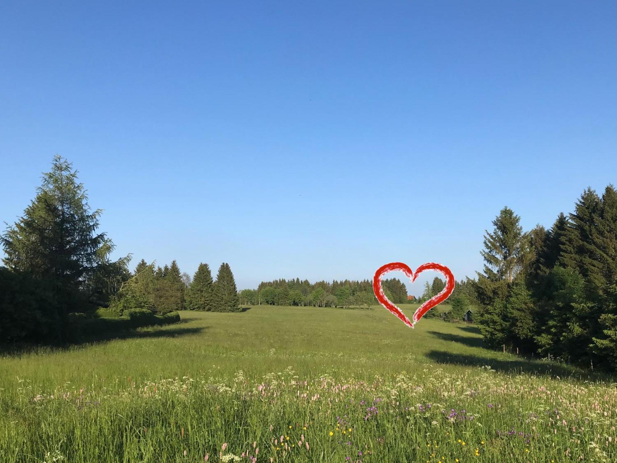 Harzchen Villa Sankt Andreasberg Dış mekan fotoğraf